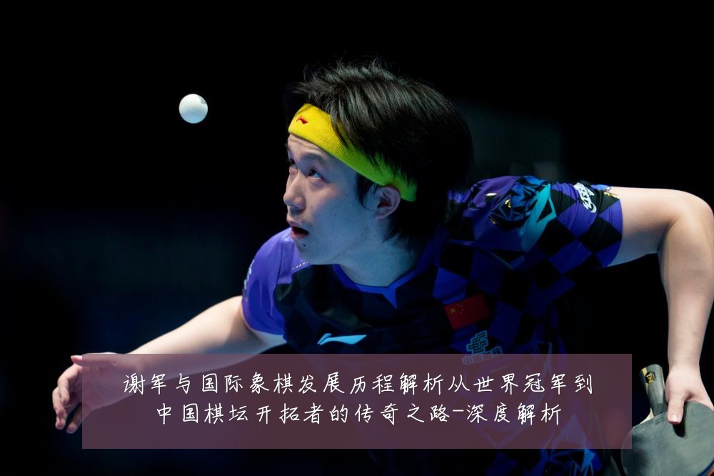 谢军与国际象棋发展历程解析从世界冠军到中国棋坛开拓者的传奇之路-深度解析